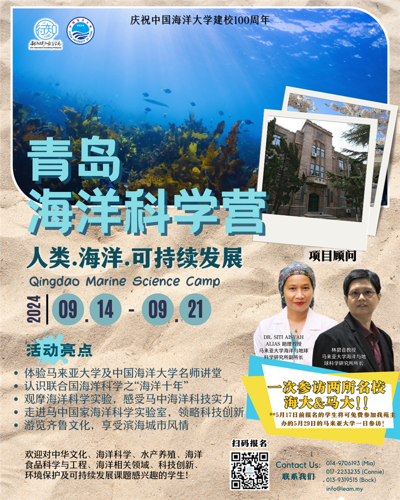 历史活动 7